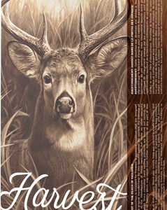 BARNES HARVEST 30-06 SPRNG - 180GR TIPPED GAMEKING 20RD