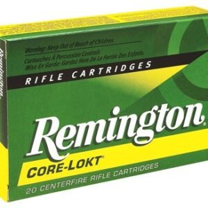 REMINGTON 300 WIN MAG 180GR - CORE-LOKT PSP 20RD 10BX/CS