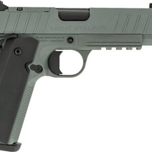 TISAS 1911 B45BA NSSF-C 45ACP - 4.25" BBL 8RD W/ CASE GREY