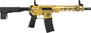 HIPOINT PISTOL HP-15 300 AAC - 10.5" 30RD BLADE BRACE GOLD