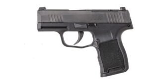 SIG SAUER P365 380ACP BLK 10+1 NS