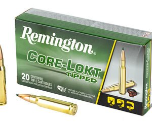 REM 308 WIN 150GR CLOK TIPPED 20/200