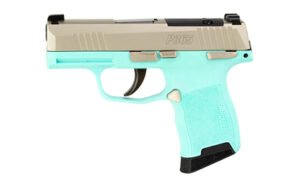SIG P365 380ACP 3.1" 10RD NKL/REB