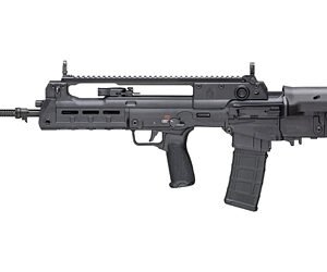 SPRGFLD HELLION 556 20" 30RD BLK