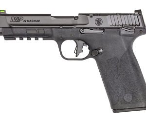S&W M&P 22WMR 4.35" OR MS 10RD BLK