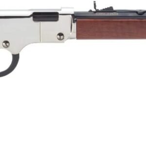 HENRY REPEATING ARMS H4 GOLDEN BOY SILVER 17HMR