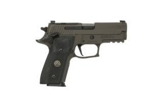 SIG SAUER LEGION 229 SAO 9MM PSTL GRY, BLK G10 GRIP, 3-10RD MAGS, OPTICS READY MASS COMPIANT